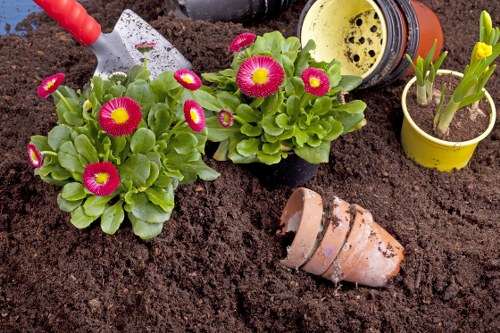 The image depicts a newly planted flower bed with dark, freshly turned soil, featuring two clusters of vibrant pink and yellow flowering plants with lush green leaves arranged centrally. To the right, a small yellow pot contains a young green plant, while to the left, a garden trowel with a red handle is partially inserted into the soil, suggesting ongoing planting activity. In the background, a yellow and black plastic pot lies tipped over, and a terracotta plant pot lies on its side in the soil, indicating recent work or plant placement. The setting appears to be an outdoor garden space, possibly part of a front or back garden in Kentish Town, with natural daylight illuminating the scene. This type of plant arrangement and gardening activity aligns with services offered by Landscapers Kentish Town, specialising in flower bed creation and outdoor planting projects. The visual details emphasize careful planting, soil preparation, and garden maintenance, suitable for emphasizing professional gardening and landscaping services local to the Kentish Town area within N19 postal code.
