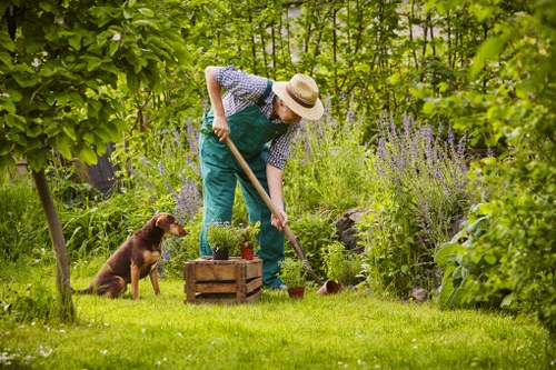 A person wearing a straw hat, a green apron, and blue checkered shirt is gardening in a backyard garden, bending over and using a small gardening tool to tend to plants in a wooden planter box. The garden features a well-maintained grassy lawn in the foreground with a lush background of leafy trees, flowering shrubs, and tall plants, some with purple blossoms. A brown dog is sitting nearby, attentively watching the gardener. The scene is outdoors on a bright, sunny day with natural light illuminating the greenery and flowers, creating a peaceful and vibrant garden environment suitable for outdoor maintenance and landscaping services in Kentish Town.