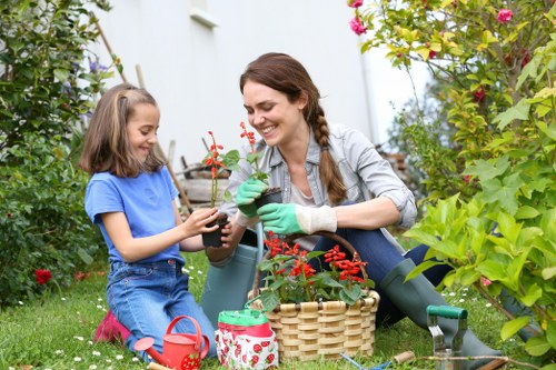 Our comprehensive landscaping services