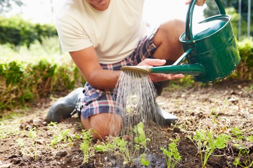 Experienced team providing lawn mowing services