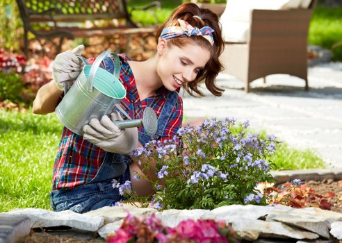 A woman gardening in a residential outdoor space, kneeling on a stone border around flower beds with flowering plants in shades of purple, pink, and red. She is wearing a plaid shirt, gloves, and a hairband, holding a watering can to carefully water the plants. Behind her, there is a wooden deck, outdoor furniture, and a well-maintained lawn with lush green grass. The garden layout includes a mix of perennial flowers, shrubs, and a neatly edged lawn, with natural light illuminating the scene under a partly cloudy sky. The environment suggests a tidy, landscaped backyard typical of properties in Kentish Town, with a focus on sustainable gardening practices, as highlighted on the landscaping company’s Recycling and Sustainability page.
