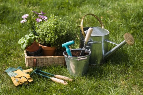 Lush Kentish Town garden with mulched beds and thriving plants