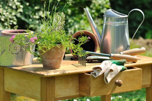 Comprehensive lawn care solutions for gardens