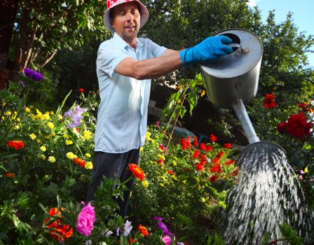 Professional landscapers working in Kentish Town garden