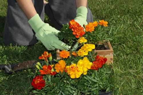 A person wearing grey trousers and bright green gardening gloves is kneeling on a well-maintained lawn in a garden, planting or tending to a colourful arrangement of marigolds and other flowering plants with vibrant orange, yellow, and red blooms. The garden features neatly bordered flower beds, with soil visible in the flower containers, and the grass appears lush and healthy. In the background, there are additional garden elements such as small shrubs or bushes, and a wooden border separates the flower area from the surrounding lawn. The scene suggests a peaceful outdoor space in Kentish Town, ideal for gardening and outdoor maintenance tasks carried out by local landscapers like Landscapers Kentish Town, who focus on garden enhancements and outdoor landscaping solutions. The weather appears bright and clear, with natural daylight highlighting the vivid colours of the flowers and the greenery of the plants, emphasizing the garden’s lush and well-kept appearance.