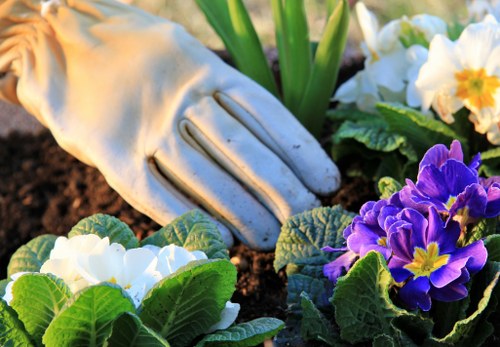 Sustainable landscaping practices in Kentish Town