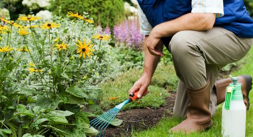 A gardener is kneeling on a well-maintained lawn in a residential garden, tending to a flower bed bordered by a mix of yellow and purple flowering plants. The lawn appears lush and mowing lines are visible, indicating recent maintenance. The flower bed is filled with healthy, blooming plants, and the soil looks moist and fertile. In the background, there are additional garden plants, possibly hedges or shrubs, creating a natural boundary for the outdoor space. The gardener is dressed in casual outdoor clothing, including a blue vest and brown waterproof boots, and is using a small hand rake or gardening tool to cultivate the soil or weed the area. A green garden sprayer is placed nearby, indicating ongoing garden care or pest management activities. The scene is set outdoors under natural daylight, suggesting a clear, pleasant day ideal for gardening activities consistent with services offered by Landscapers Kentish Town in the Kentish Town area.