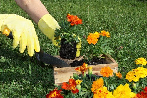 Tools and equipment used in garden clearance