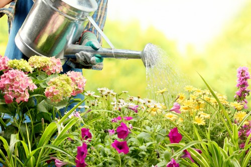 Sustainable garden design by Landscapers Kentish Town