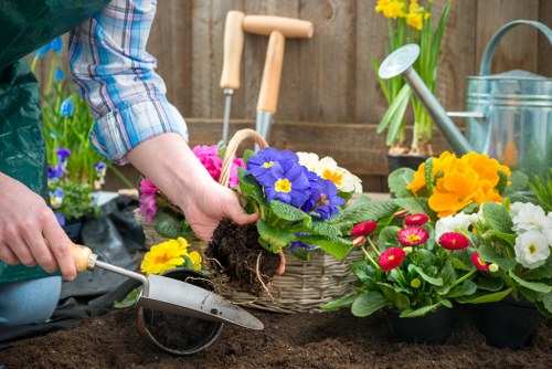 Stump grinding service in Kentish Town