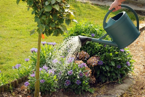 A person watering a garden bed with a green watering can, surrounded by lush green plants, including flowering purple and pink blooms, and a small tree with green leaves. The garden features a neatly maintained lawn area in the background, bordered by a low wooden edging. The soil and plant beds are well defined, and the scene is illuminated by natural daylight, suggesting a clear weather day. The image captures a typical outdoor garden setting, highlighting gardening and lawn care activities that a landscaping service like Landscapers Kentish Town may provide for residential or commercial outdoor spaces in the Kentish Town area.