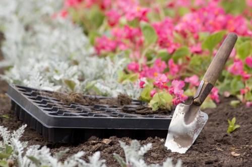 A close-up view of a garden border in a landscaped outdoor space, with freshly turned dark brown soil alongside a black plastic seed tray that appears to contain soil or plant material, situated on the ground. The border includes dense, low-growing white and silver foliage plants, contrasting with vibrant pink flowering plants in the background, indicating a well-maintained garden area typical of residential landscaping in Kentish Town. A small garden trowel with a wooden handle and metallic blade partially embedded in the soil suggests ongoing planting or soil preparation activities. The environment is outdoors, with natural light illuminating the scene, reflecting a typical gardening session focused on flower bed preparation, consistent with gardening and outdoor maintenance services by Landsapers Kentish Town in the local area.