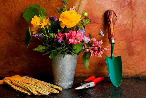 A close-up of a well-maintained outdoor garden space featuring a concrete or brick surface in front of an orange-toned wall. The image displays a large, grey, textured flower pot filled with a colorful arrangement of flowering plants, including yellow, pink, purple, and white blossoms with lush green leaves. To the right of the flower pot, a small green gardening trowel with a wooden handle is planted into the ground, suggesting gardening activity. Nearby, a pair of red-handled pruning shears rests on the surface, indicating maintenance work, while on the left side, neatly folded striped gardening gloves are laid out, ready for use. The natural outdoor environment and the tools and plants depicted reflect general garden care and landscaping activities, typical of local Kentish Town gardening services. The scene captures a moment of garden upkeep, emphasizing plant health, tool readiness, and outdoor aesthetics in a residential garden setting, under mild weather with soft lighting.