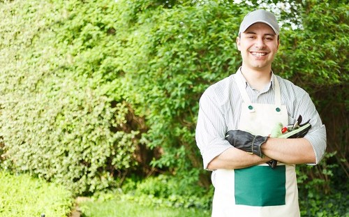 Affordable and customizable lawn mowing packages