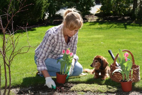 A woman with blonde hair tied back, dressed in a plaid shirt and blue jeans, is kneeling on a well-maintained grassy garden lawn with vibrant green grass. She is wearing gardening gloves and appears to be planting or tending to pink tulips in a small terracotta pot. Nearby, a small brown puppy is sitting attentively, looking at her with curiosity. To her right, there is a wicker basket filled with soil or gardening tools, and two additional potted tulips placed on the grass, adding natural colour accents to the scene. The background features a lush garden with various trees and shrubs, creating a shaded environment that suggests a bright, sunny day with soft sunlight illuminating the greenery. The scene reflects a peaceful outdoor setting suitable for gardening and outdoor maintenance activities, typical of a suburban garden in Kentish Town, with visible elements of lawn care, planting, and garden organisation. Landscapers Kentish Town is shown to be engaged in garden nurturing, highlighting their gardening services in a natural and professional context.