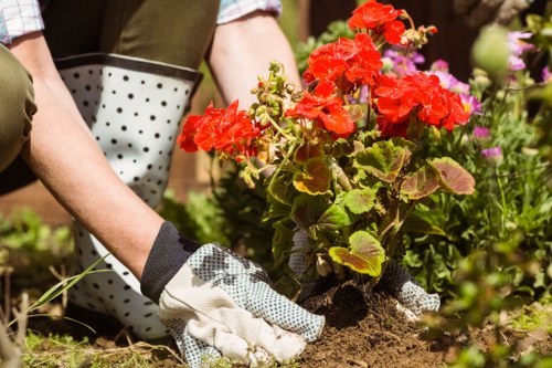 Expert landscapers working on a project