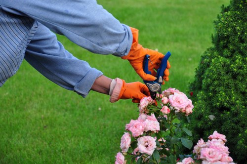 Professional gardeners performing garden clearance