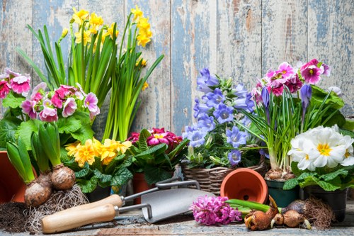 A collection of gardening tools and potted plants arranged on a weathered wooden surface outdoors. The plants include yellow daffodils, pink primroses, purple clematis, and white primroses, all with vibrant green leaves. Several terra cotta pots and a wicker basket contain additional flowering plants. Gardening tools such as a hand trowel with a wooden handle, a small fork, and a pair of gardening gloves are placed among the pots. The background features a rustic, light blue wooden wall, suggesting a garden or backyard setting in Kentish Town, with natural daylight illuminating the scene. This arrangement highlights typical gardening and landscaping elements relevant to professional services provided by Landscapers Kentish Town in the local area.